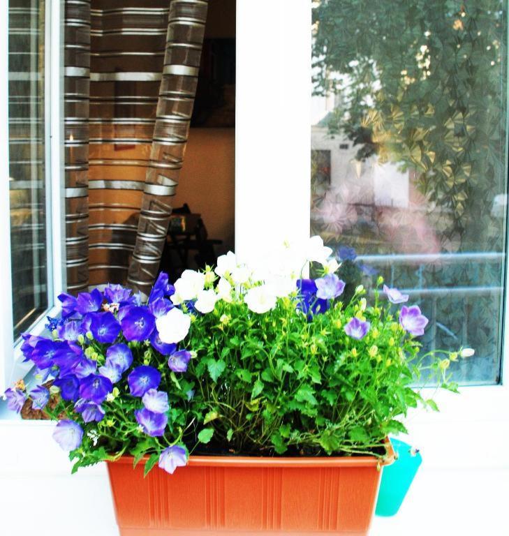 Apartment 5 Min By Walk To The Center Brno Extérieur photo